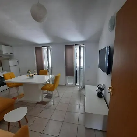 Ojdana Zivkovic רוגוזניצה